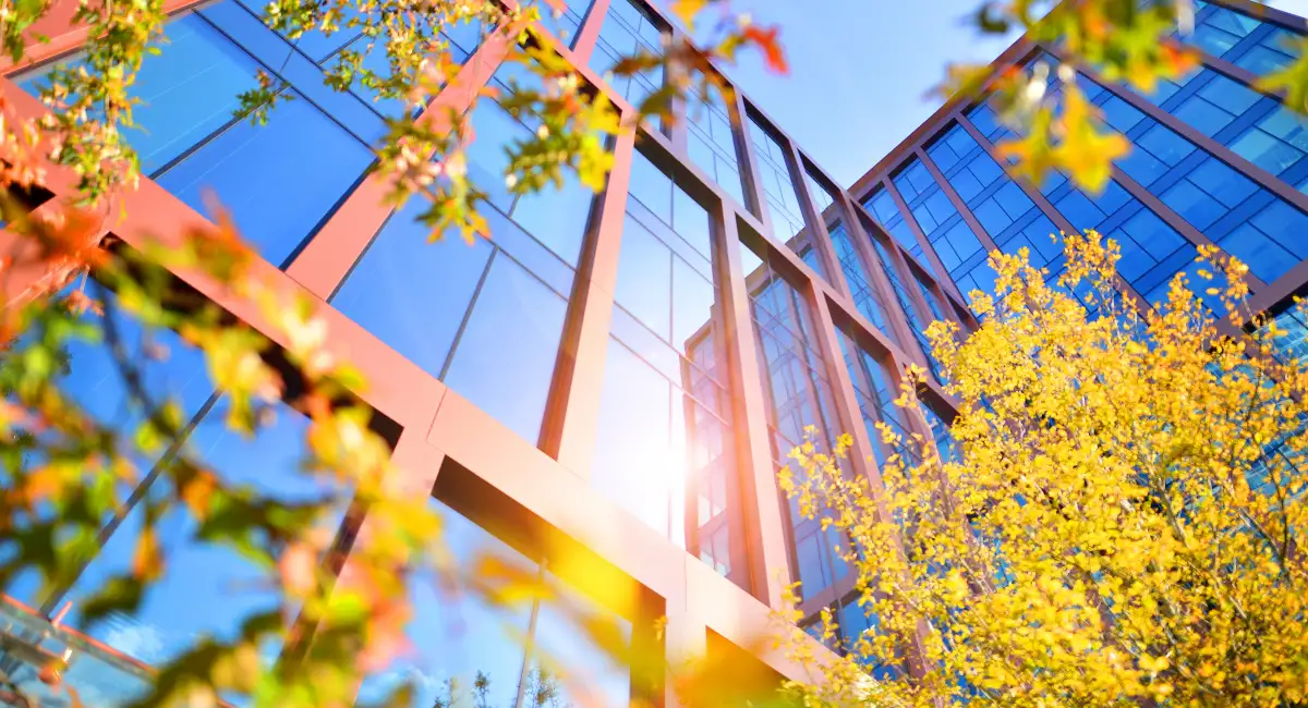 Sustainable glass office building with trees