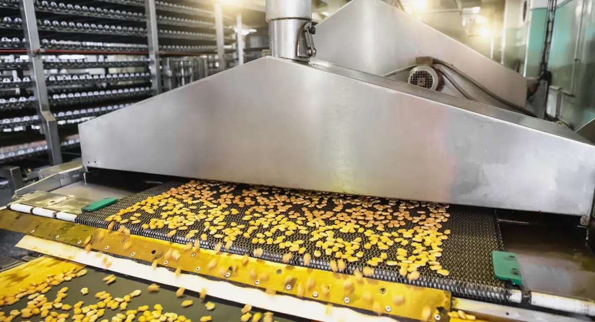 Commercial food processing machine sorting or conveying snack food pieces on an industrial production line.