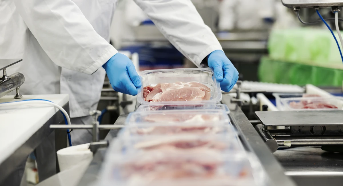 Food processing worker in protective clothing and gloves, packaging raw poultry in sealed containers on a commercial production line.