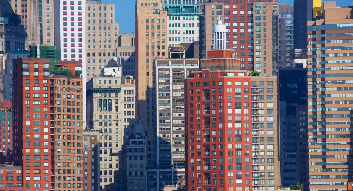 Closely packed buildings promote bed bug activity
