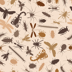 A graphic of many types of insects.