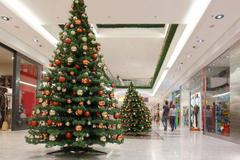 Christmas trees in a mall.