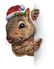 An animated squirrel peering around a corner wearing a santa hat.