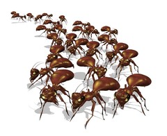 An animated group of ants.