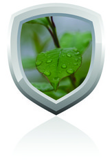 A badge with leaves on it.