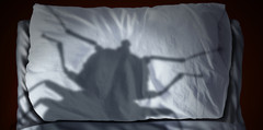A large shadow of a bug over a bed.