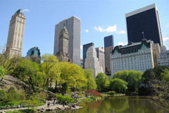 New York in the summer.