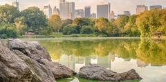 New York in the summertime.
