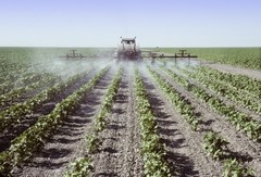 A field being sprayed with pesticides.
