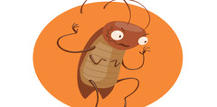 A graphic of a cockroach on an orange circle.