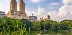 Central Park in the summertime.