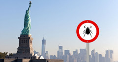 An graphic of a tick sign with the statue of liberty in the background.
