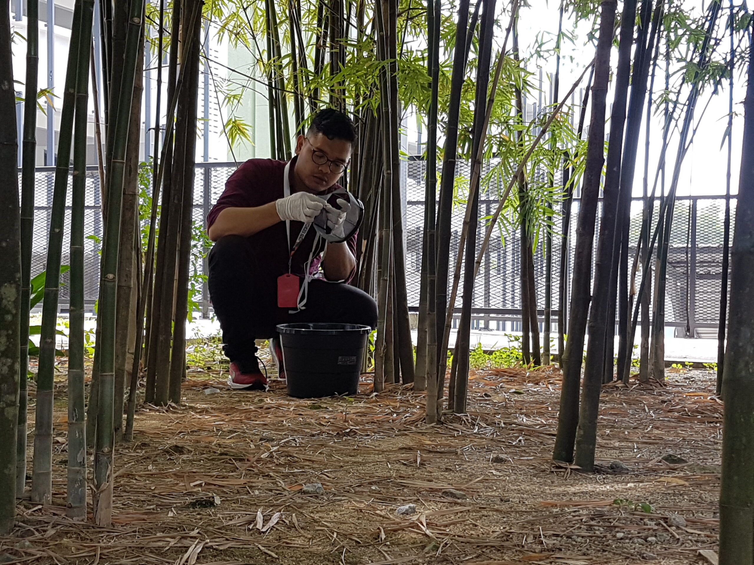 A pest control professional sets a mosquito trap.